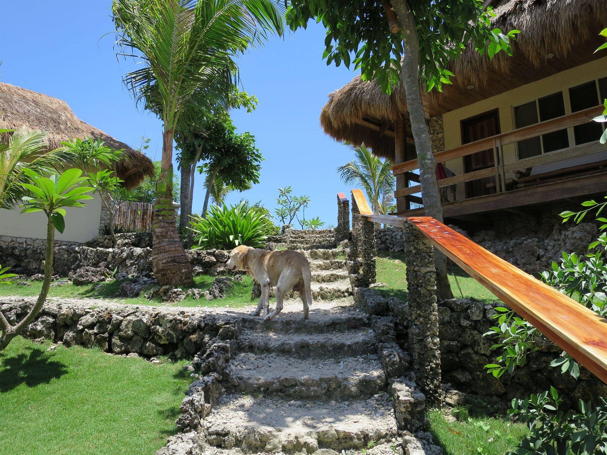 Tepanee Beach Resort Insula Malapascua Exterior foto